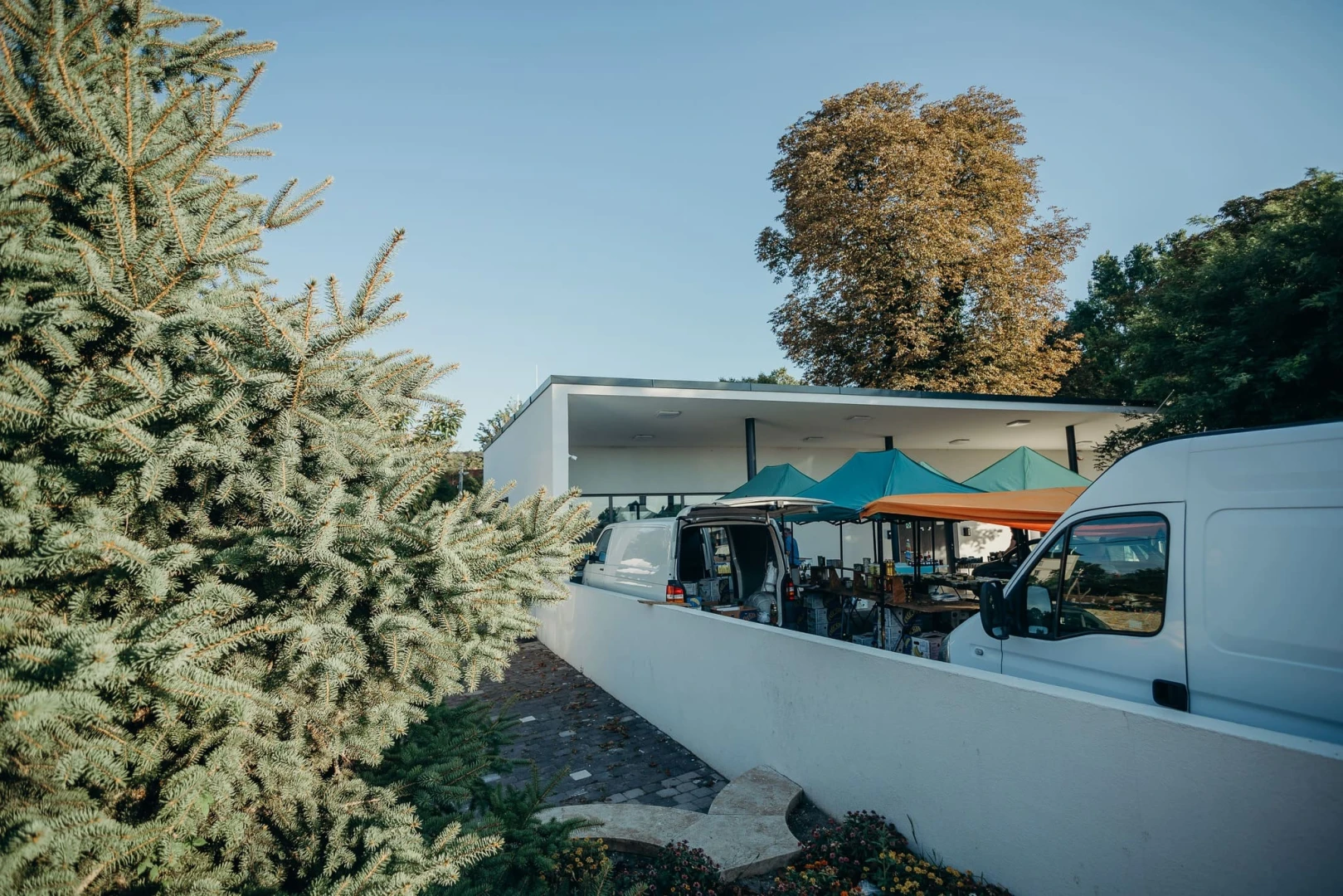 Piac fejlesztése Zsámbékon