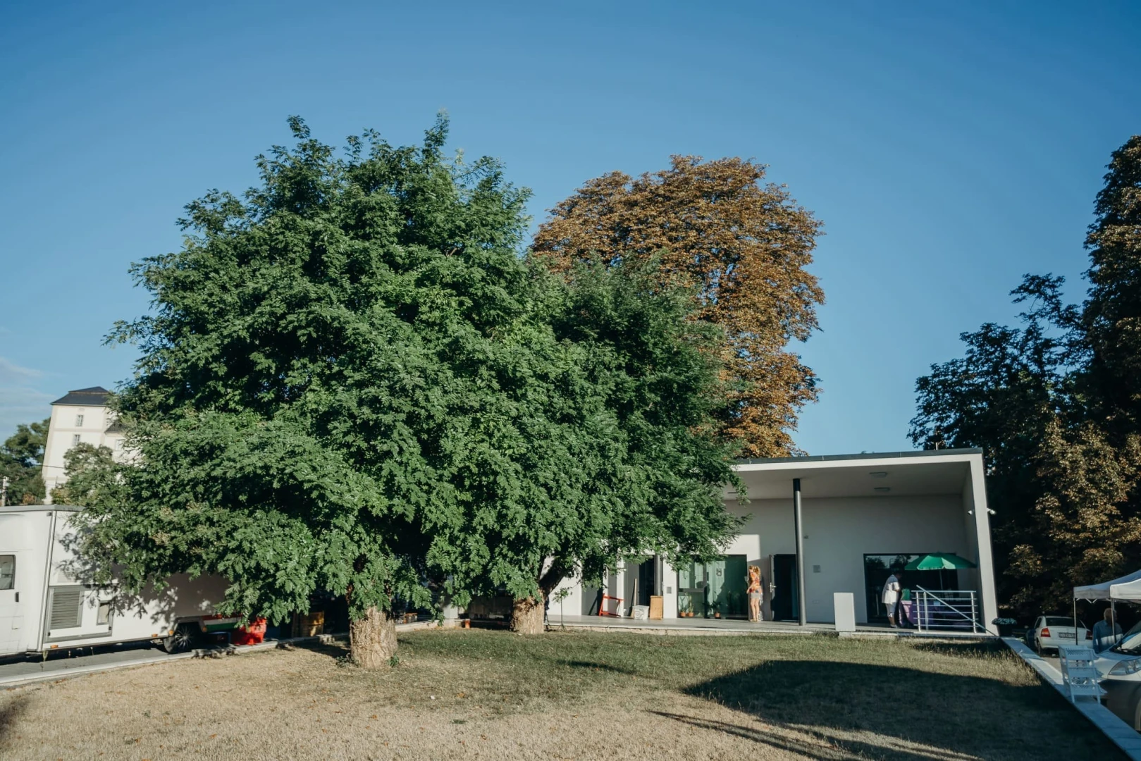 Piac fejlesztése Zsámbékon