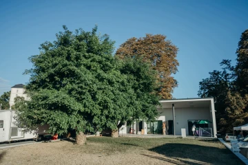 Piac fejlesztése Zsámbékon thumb