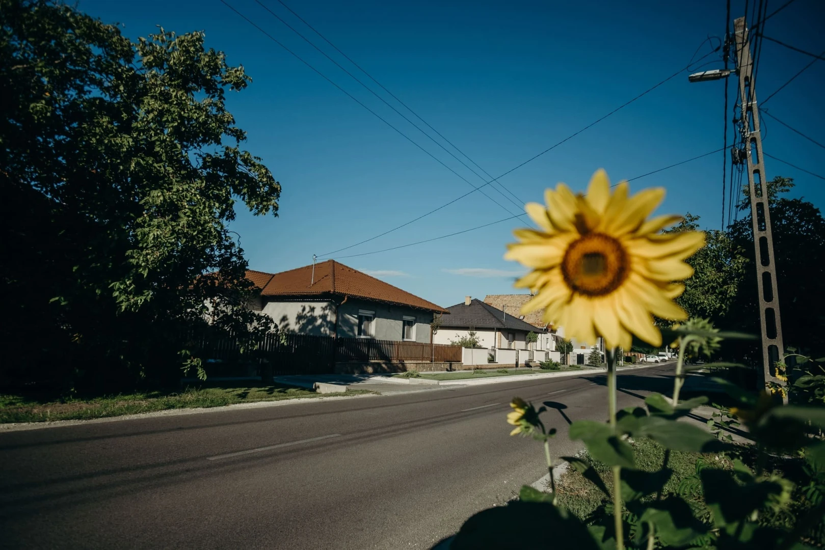 Belterületi utak fejlesztése Taksonyban