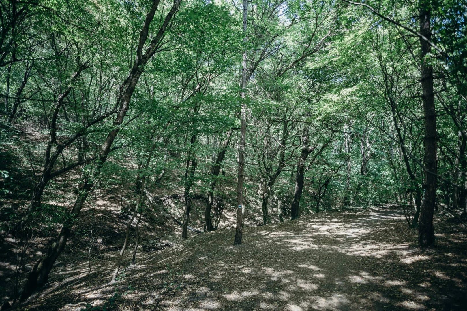 A Nagykovácsi-medence kerékpáros útkapcsolat kialakítása Remeteszőlős és Budapest között