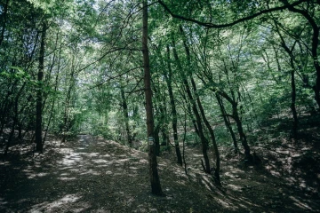 A Nagykovácsi-medence kerékpáros útkapcsolat kialakítása Remeteszőlős és Budapest között thumb