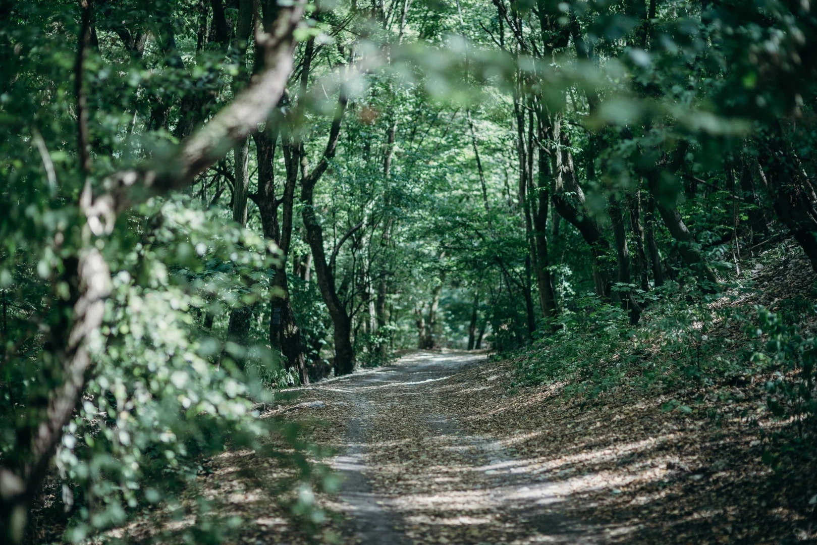 A Nagykovácsi-medence kerékpáros útkapcsolat kialakítása Remeteszőlős és Budapest között