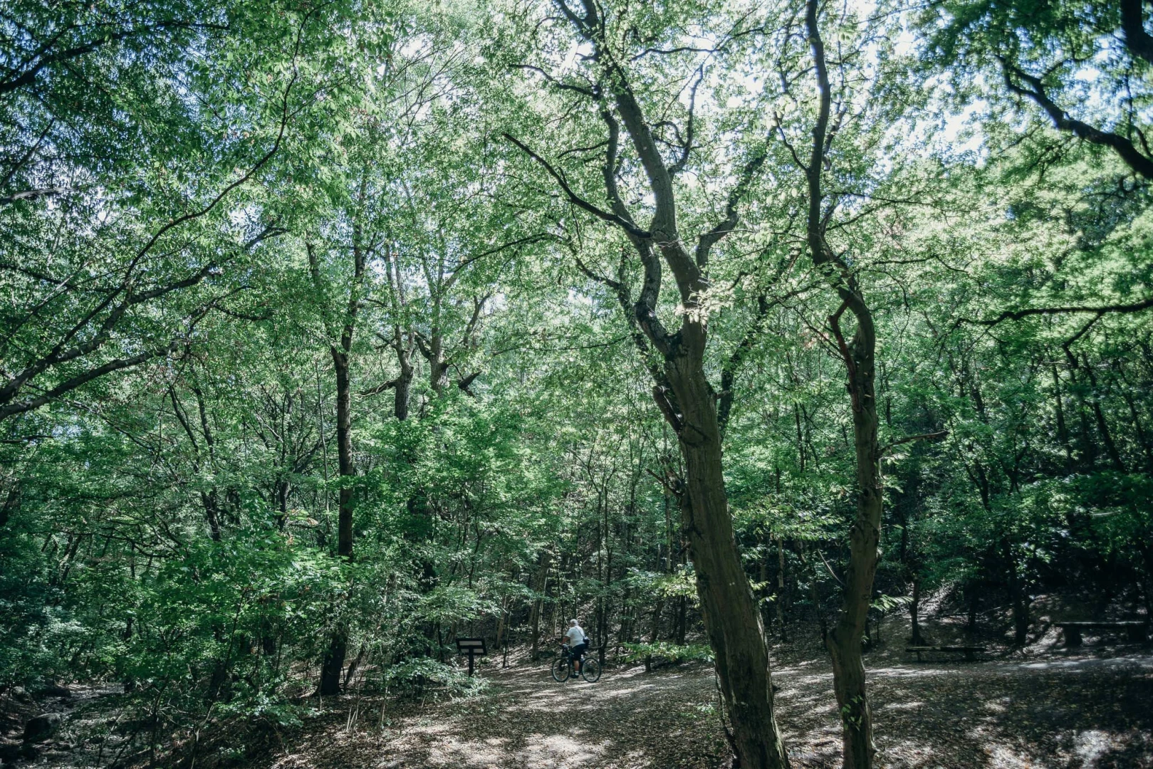 A Nagykovácsi-medence kerékpáros útkapcsolat kialakítása Remeteszőlős és Budapest között