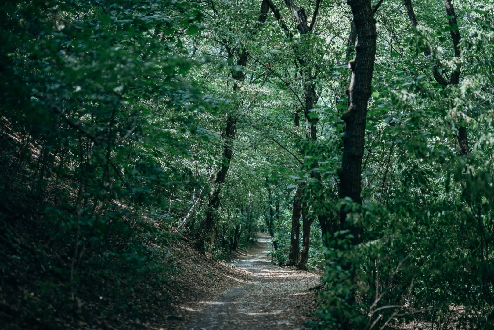 A Nagykovácsi-medence kerékpáros útkapcsolat kialakítása Remeteszőlős és Budapest között