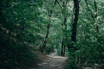 A Nagykovácsi-medence kerékpáros útkapcsolat kialakítása Remeteszőlős és Budapest között thumb