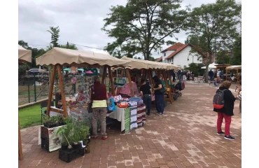 Tahitótfalu – Hídfő piac fejlesztése thumb